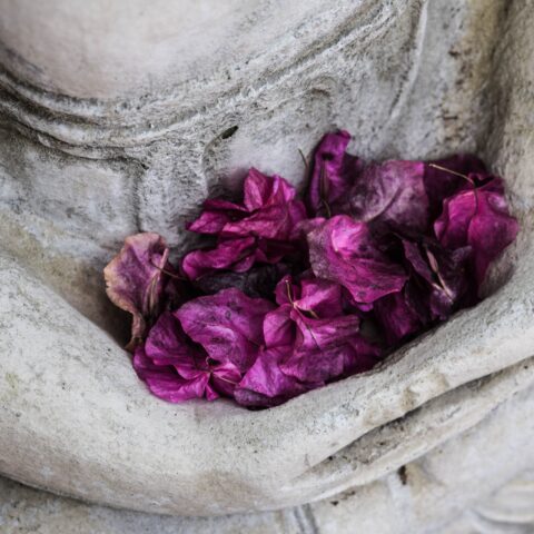 Quest ce que lashtanga IRO 1