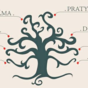les 8 branches du Yoga